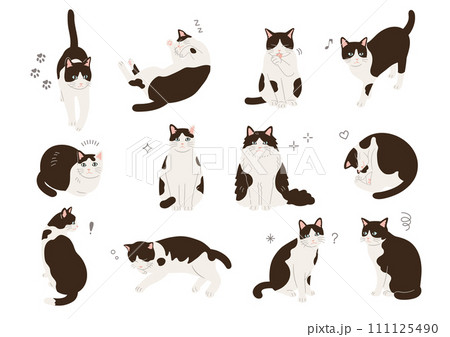 さまざまなポーズの猫のイラスト さまざまなポーズの猫のイラスト 111125490