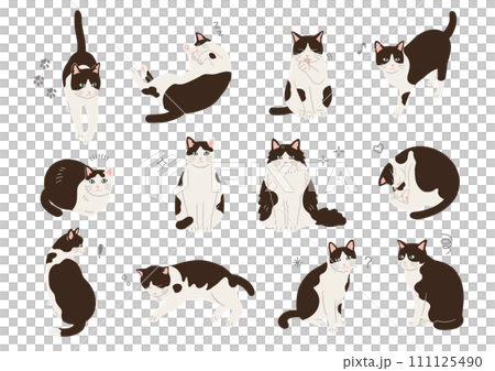 さまざまなポーズの猫のイラスト さまざまなポーズの猫のイラスト 111125490