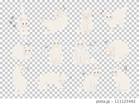 不同姿勢的白貓的插圖 111125492