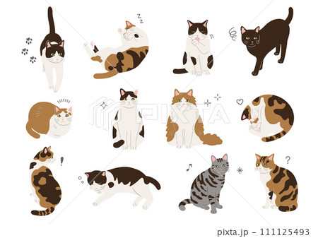 さまざまなポーズの猫のイラスト 111125493