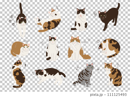 不同姿勢的貓的插圖 不同姿勢的貓的插圖 111125493