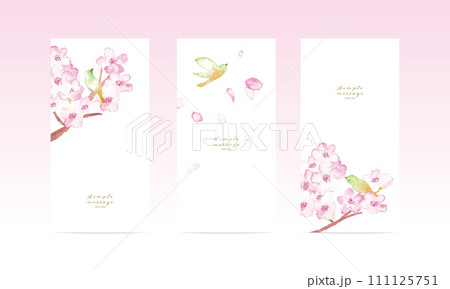 水彩画の桜イラスト。桜とうぐいすの和風ベクターデータ。春の桜柄はがきテンプレート。 111125751