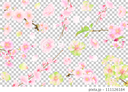 花の背景（桜） 111126184