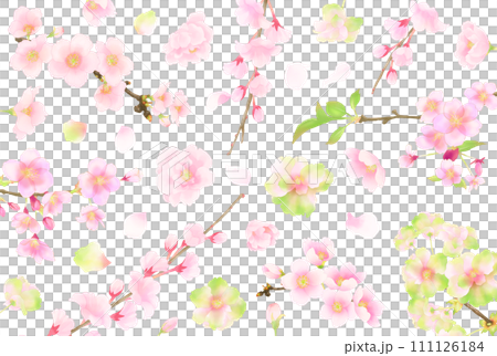 花の背景（桜） 111126184