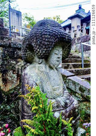 【京都】春のくろ谷・金戒光明寺 雨に濡れる五劫思惟阿弥陀仏(横顔) 【京都】春のくろ谷・金戒光明寺 雨に濡れる五劫思惟阿弥陀仏(横顔) 111126659