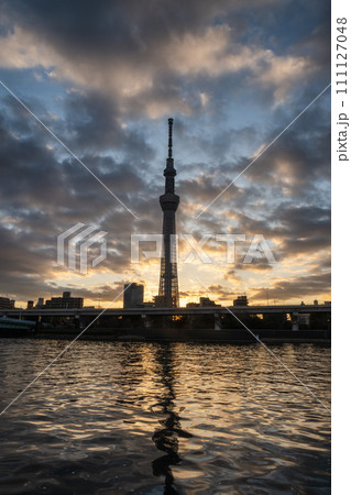 朝陽に映える東京スカイツリー 111127048