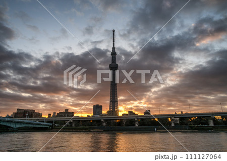 朝陽に映える東京スカイツリー 111127064