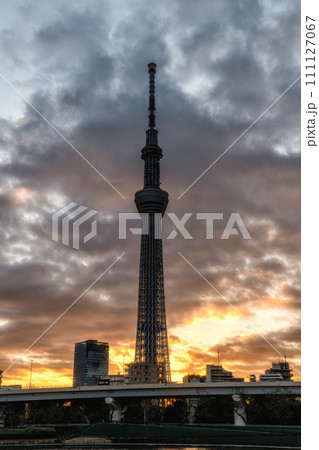 朝陽に映える東京スカイツリー 111127067