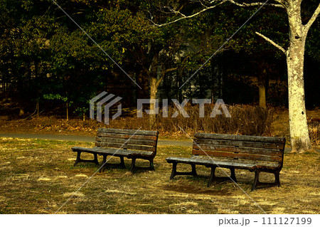 冬の公園のベンチ 111127199