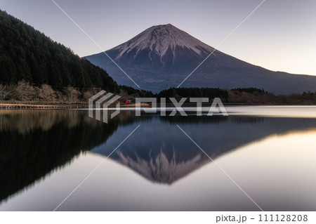 田貫湖から臨む冬の富士山 111128208
