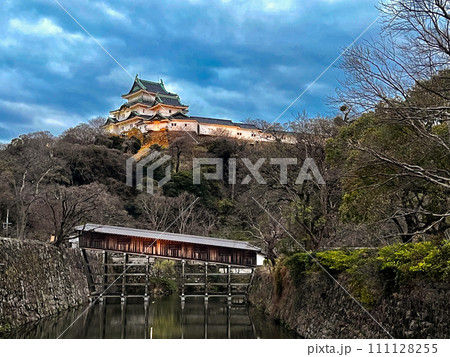 和歌山城と廊下橋 和歌山城と廊下橋 111128255