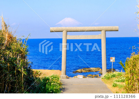 鳥居と富士11 111128366