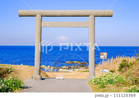 海岸の鳥居と富士山2 111128369