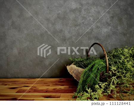 コンクリートの壁に映える植物 コンクリートの壁に映える植物 111128441