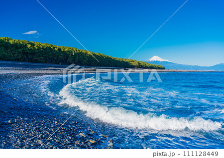 (静岡県)三保の松原と富士山 (静岡県)三保の松原と富士山 111128449