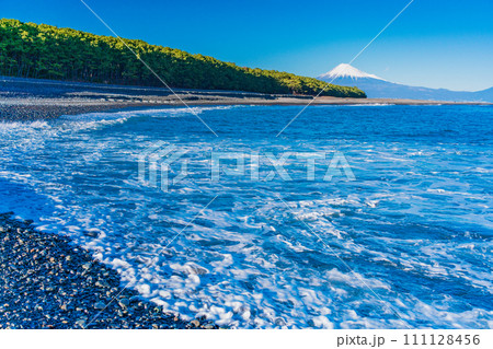 (静岡県)三保の松原と富士山 (静岡県)三保の松原と富士山 111128456