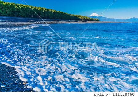 （静岡県）三保の松原と富士山 111128460