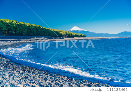 （静岡県）三保の松原と富士山 111128463