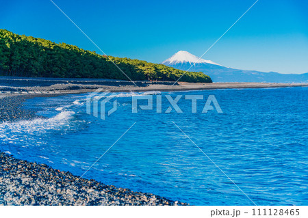 （静岡県）三保の松原と富士山 111128465