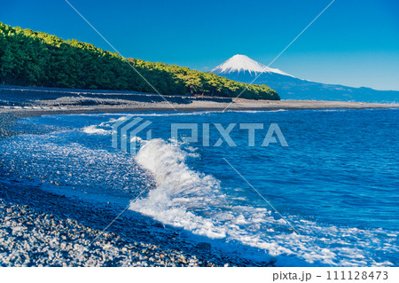 （静岡県）三保の松原と富士山 111128473
