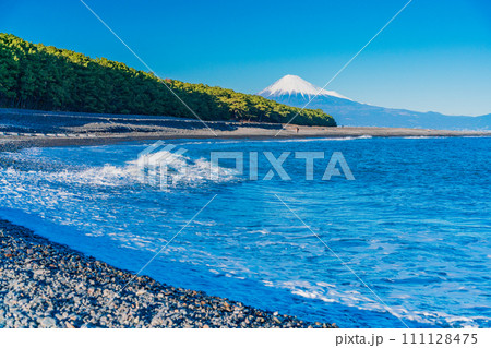 （静岡県）三保の松原と富士山 111128475