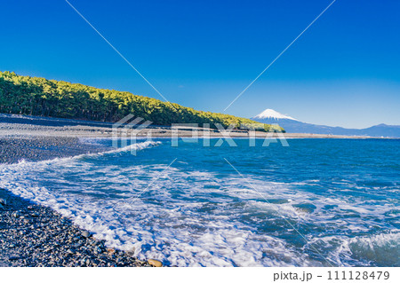 （静岡県）三保の松原と富士山 111128479