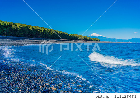 （静岡県）三保の松原と富士山 111128481