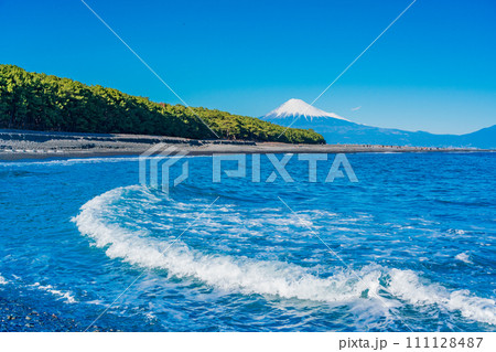 （静岡県）三保の松原と富士山 111128487