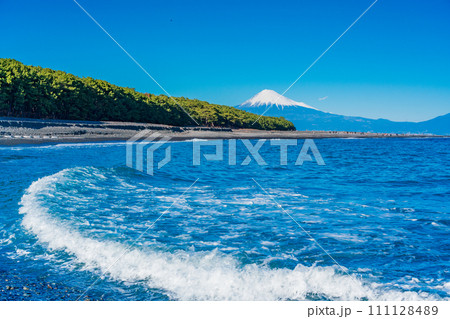 （静岡県）三保の松原と富士山 111128489