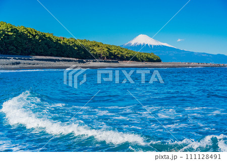 （静岡県）三保の松原と富士山 111128491