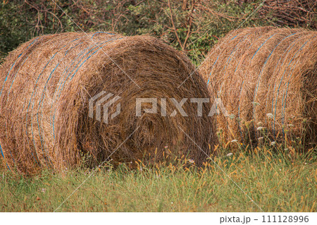 Rounded Hay Bale In Front Of Blue Sky, Hay Bale, Hay Bales, Rounded Hay Bales Rounded Hay Bale In Front Of Blue Sky, Hay Bale, Hay Bales, Rounded Hay Bales 111128996