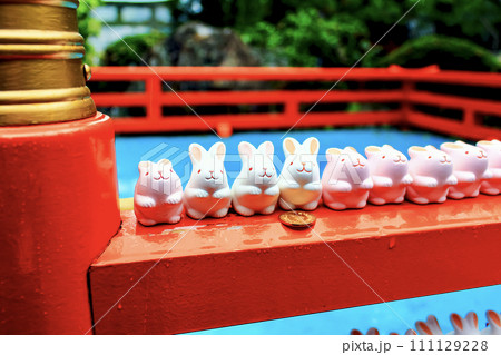 【京都】春の岡﨑神社　神札納所に並ぶたくさんのうさぎの置物 111129228