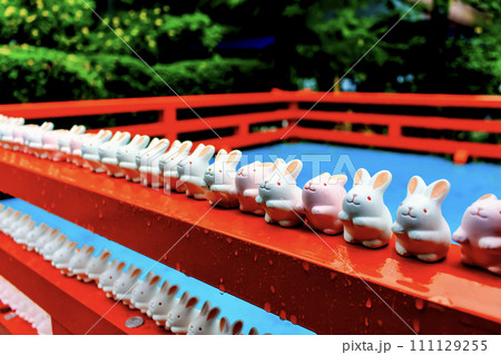 【京都】春の岡﨑神社　神札納所に並ぶたくさんのうさぎの置物 111129255