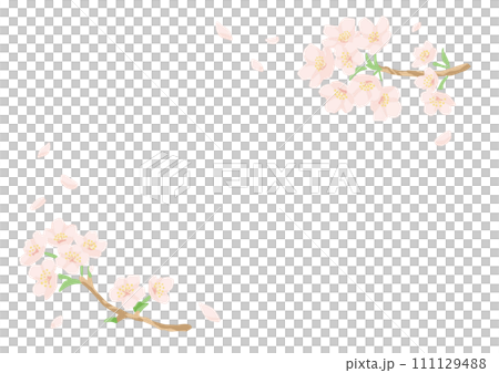 手寫風格櫻花框架材料-平面簡單-複製空間 111129488