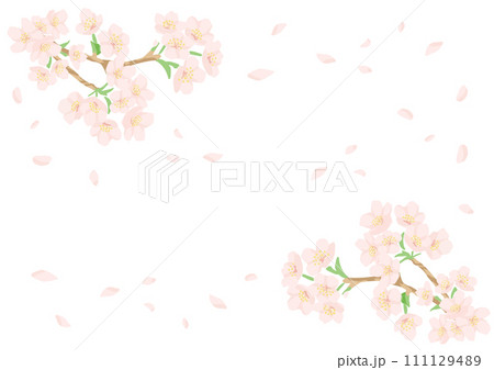 手書き風の桜の舞うフレーム素材・フラットでシンプル・コピースペース 手書き風の桜の舞うフレーム素材・フラットでシンプル・コピースペース 111129489