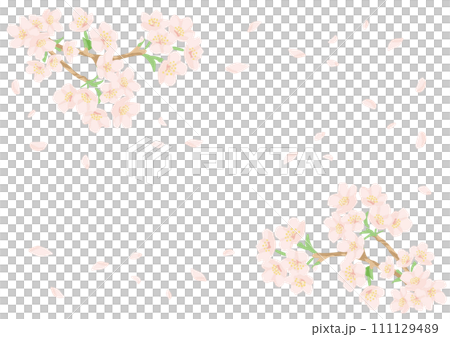 手書き風の桜の舞うフレーム素材・フラットでシンプル・コピースペース 手書き風の桜の舞うフレーム素材・フラットでシンプル・コピースペース 111129489
