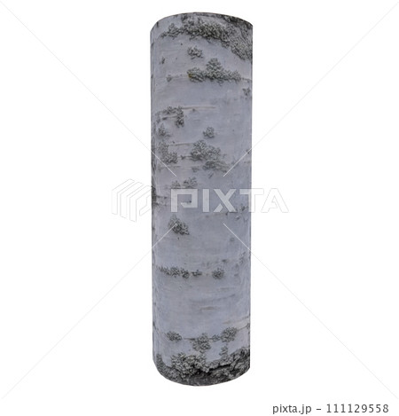 Wood Log isolated on white background 111129558