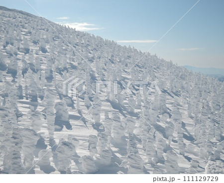 氷と雪の芸術品「山形蔵王の樹氷」 111129729