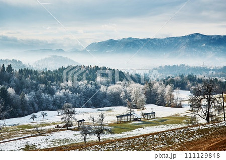 Winter landscape of field with mountains Winter landscape of field with mountains 111129848