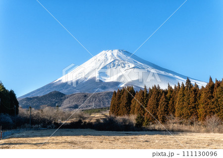 静岡県　冠雪の富士山　遠景 111130096