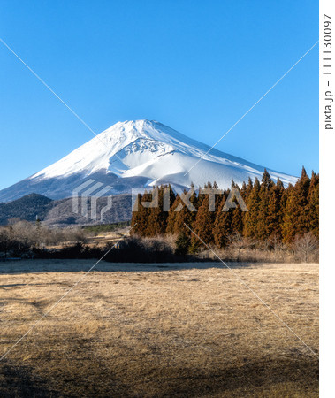 静岡県　冠雪の富士山　遠景 111130097