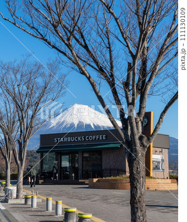 静岡県　冠雪の富士山　遠景 111130109