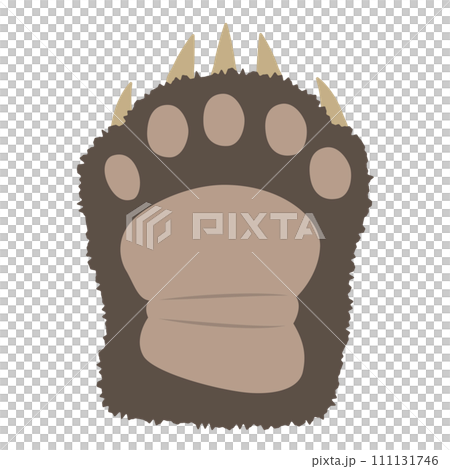 熊の手のイラスト 111131746