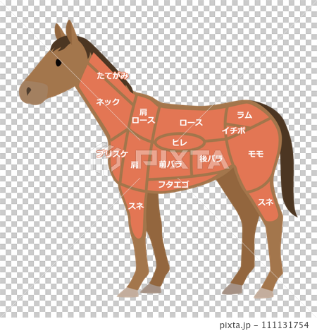 馬肉部位圖解 馬肉部位圖解 111131754