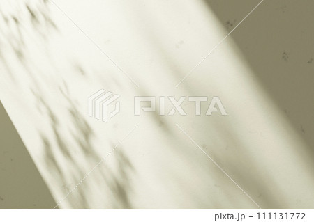 Sunshine, tree shadows, various texture backgrounds. 3d rendering. 111131772