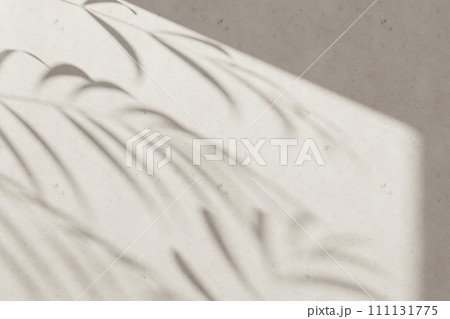 Sunshine, tree shadows, various texture backgrounds. 3d rendering. 111131775