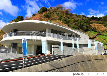 【兵庫県】リニューアルした灘黒岩水仙郷展望デッキ 111131853