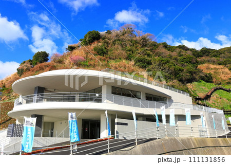 【兵庫県】リニューアルした灘黒岩水仙郷展望デッキ 111131856