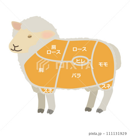 ラム肉の部位のイラスト 111131929