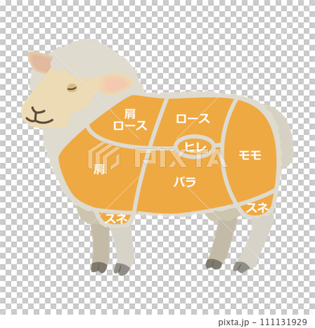 羊肉部位圖解 羊肉部位圖解 111131929